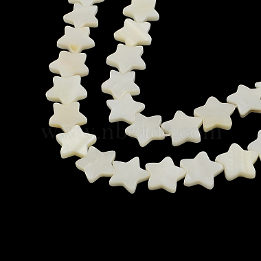 Star Other Sea Shell Beads