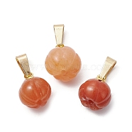 Natural Red Aventurine Pumpkin Charms with Golden Tone 304 Stainless Steel Snap on Bails, 12x9.5mm, Hole: 6.5x3mm(PALLOY-JF02349-01)