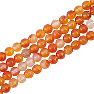 2 Strands Natural Carnelian Beads Strands, Round, 4mm, Hole: 1mm, about 95pcs/strand, 14.8 inch(G-OC0004-99)