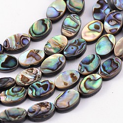 Natural Abalone Shell/Paua Shell Beads Strands, Oval, Colorful, 12x8x3mm, Hole: 0.5mm(X-SSHEL-G003-8-8x12mm)