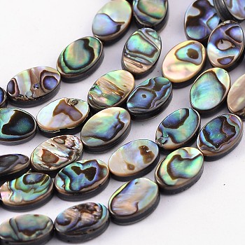 Natural Abalone Shell/Paua Shell Beads Strands, Oval, Colorful, 12x8x3mm, Hole: 0.5mm