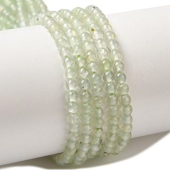 Natural Prehnite Beads Strands, Round, 3~3.5mm, Hole: 0.6~0.7mm, about 120~150pcs/strand, 15.16~15.55''(38.5~39.5cm)