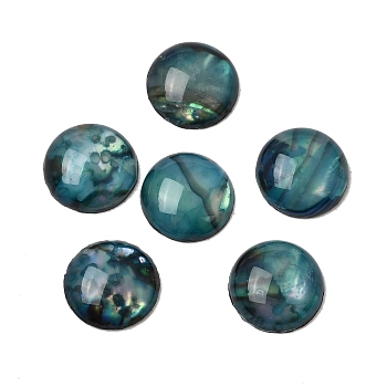Abalone Shell/Paua Shell Cabochons, Half Round/Dome, Colorful, 8x1~1.5mm