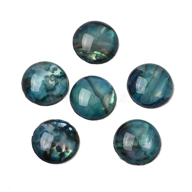 Abalone Shell/Paua Shell Cabochons(SSHEL-K003-8MM)-1