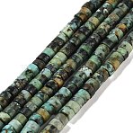 Natural African Turquoise(Jasper) Beads Strands, Disc, Heishi Beads, 4.5x2.5mm, Hole: 1mm, about 143~145pcs/strand, 14.88~15.08''(37.8~38.3cm)(X-G-A220-B03-01)