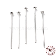 Rhodium Plated 925 Sterling Silver Flat Head Pins, Platinum, 24 Gauge, 30x0.5mm, Head: 1.5mm(STER-M117-03A-P)