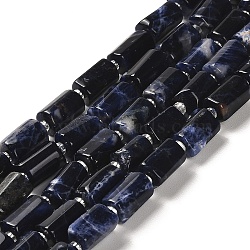 Natural Sodalite Beads Strands, with Seed Beads, Faceted, Column, 8.5~11x5.5~6.5mm, Hole: 1mm, about 14~15pcs/strand, 7.48''(19cm)(G-N327-06-28)