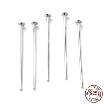 Rhodium Plated 925 Sterling Silver Flat Head Pins, Platinum, 24 Gauge, 30x0.5mm, Head: 1.5mm