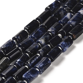 Natural Sodalite Beads Strands, with Seed Beads, Faceted, Column, 8.5~11x5.5~6.5mm, Hole: 1mm, about 14~15pcs/strand, 7.48''(19cm)