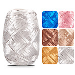 Raffia Crinkle Shred Filler, for Gift Wrapping & Easter Basket Filling, Gainsboro, 5mm, about 87.49 Yards(80m)/Roll(DIY-MB0003-04F)