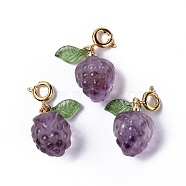 Natural Amethyst Grape Spring Ring Clasp Charms, Rack Plating Brass Spring Ring Clasps, Golden, 24mm, Grape: 16.5x12mm, Leaf: 10x5x2mm(HJEW-P014-04G)