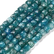 Natural Blue Apatit Beads Strands, Faceted, Cube, 3.5~4.5x3.5~4x3.5mm, Hole: 0.6mm, about 103~106pcs/strand, 15.55'~15.75''(39.5~40cm)(G-H042-A12-02B)