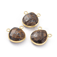 Natural Bronzite Charms, with Golden Plated Brass Findings, Faceted, Teardrop, 15~16x14~14.5x6mm, Hole: 1.8mm(G-L547-030A)
