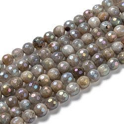 Natural Labradorite Beads Strands, Round, Rainbow Plated, Faceted, 6mm, Hole: 1mm, about 70pcs/strand, 15.35''(39cm)(G-G723-01D)