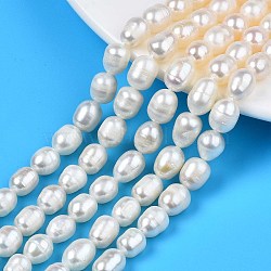 Natural Cultured Freshwater Pearl Beads Strands, Rice, Seashell Color, 8.5~13x7~8mm, Hole: 0.8mm, about 16~19pcs/strand, 7.05 inch~7.40 inch(17.9cm~18.8cm)(X-PEAR-N012-07B)