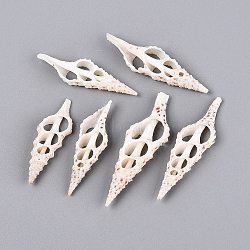 Natural Spindle Shell Pendants, Shell Slice Charms, Floral White, 43~58x14~17x5.5~6.5mm, Hole: 2~9.5x2~5mm(SSHEL-N042-26)