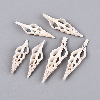 Natural Spindle Shell Pendants, Shell Slice Charms, Floral White, 43~58x14~17x5.5~6.5mm, Hole: 2~9.5x2~5mm