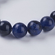Natural Sodalite Beads Strands(G-G515-10mm-07)-3