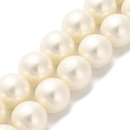 Shell Pearl Beads Strands, Grade A, Polished, Round, Cornsilk, 10.5mm, Hole: 0.8mm, about 40pcs/strand, 15.94''(40.5cm)(BSHE-XCP0001-33)