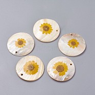Freshwater Shell Pendants, with Dried Flower, Flat Round, 50~51x2~6mm, Hole: 2.5~3mm(SHEL-G011-03)