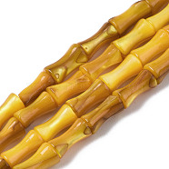 Natural Freshwater Shell Beads Strands, Dyed, Bamboo Stick, Goldenrod, 8x4.5x4.5mm, Hole: 0.7mm, about 45~48pcs/strand, 14.61~15.51 inch(37.1~39.4cm)(SHEL-Q025-003D)