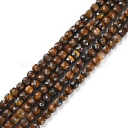 Natural Tiger Eye Beads Strands, Faceted, Cube, 4~4.5x4~4.5x4~4.5mm, Hole: 0.9mm, about 94~104pcs/strand, 15.35''~15.55''(39~39.5cm)(G-P500-02A-01)