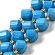 Dyed Natural Howlite Beads Strands(G-G023-B01-02A)-1