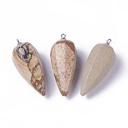 Natural Picture Jasper Pointed Pendants, with Stainless Steel Findings, Cone, Stainless Steel Color, 50~53x19~21mm, Hole: 2mm(G-E541-10C)