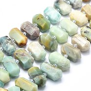 Natural Flower Amazonite Beads Strands, Faceted, Double Terminated Pointed/Bullet, 20~31x12~14x10~13mm, Hole: 1.8mm, about 23~24pcs/strand, 15.55 inch(39.5cm)(G-F715-045)