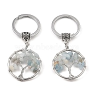 Natural Aquamarine Flat Round with Tree of Life Pendant Keychain, with Iron Key Rings and Brass Finding, 6.5cm(KEYC-E023-03K)