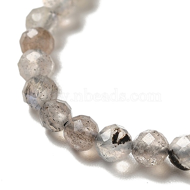 Natural Labradorite Beads Strands(G-I341-11)-5