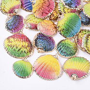 Electroplate Shell Pendants, with Brass Findings, Dyed, Light Gold, Mixed Color, 22.5~30.5x22~32x5~9mm, Hole: 1.6mm(SSHEL-T008-30)