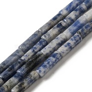 Natural Blue Spot Jasper Beads Strands, Column, 13.5~14x4~4.5mm, Hole: 1.2mm, about 28pcs/strand, 15.16''(38.5cm)(G-D464-34)