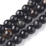 Natural Biotite Beads Strands, Round, Black, 6mm, Hole: 0.8mm, about 68pcs/Strand, 16.06 inch(40.8cm)(G-L528-06D)
