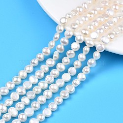 Natural Cultured Freshwater Pearl Beads Strands, Potato, Seashell Color, 5~7.5x6~8.5x3.5~5.5mm, Hole: 0.8mm, about 53~54pcs/strand, 14.09 inch~14.45 inch(35.8cm~36.7cm)(PEAR-N014-07B)