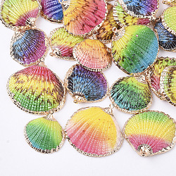 Electroplate Shell Pendants, with Brass Findings, Dyed, Light Gold, Mixed Color, 22.5~30.5x22~32x5~9mm, Hole: 1.6mm(SSHEL-T008-30)