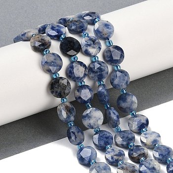 Natural Blue Spot Jasper Beads Strands, Faceted Pentagonal Cut, Flat Round, with Seed Beads, 10~10.5x5~6mm, Hole: 1mm, about 32~33pcs/strand, 15.75''(40cm)