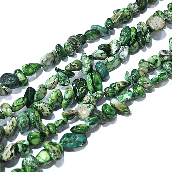 Natural Imperial Jasper Bead Strands, Dyed, Chips, Teal, 6~10x5~8x4~6mm, Hole: 1.2mm, about 79pcs/strand, 15.75 inch(40cm)