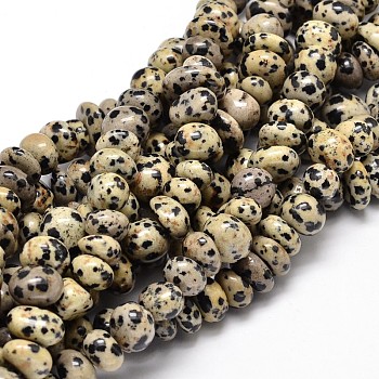 Natural Dalmatian Jasper Gemstone Nuggets Bead Strands, Tumbled Stone, 6~10x9~12x8~10mm, Hole: 1mm, about 15.3 inch~15.7 inch