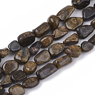 Natural Bronzite Beads Strands, Nuggets, Tumbled Stone, 5~11x5~8x3~6mm, Hole: 0.8mm, about: 52~56pcs/Strand, 15.94 inch(40.5cm)(X-G-S363-041)