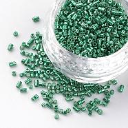 Electroplate Cylinder Seed Beads, Uniform Size, Metallic Colours, Medium Sea Green, 1~1.5x1.5~2mm, Hole: 0.5mm, about 50g/bag, about 5000pcs/bag(SEED-R041-02)