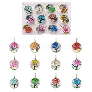 12Pcs Transparent Glass Pendants, with Dried Flower inside and Stainless Steel Finding, Flat Round, Mixed Color, 20x12.5mm, Hole: 4.5mm(GLAA-CD0001-03)