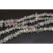 Gemstone Beads Strands, Natural Fluorite, Chips, Colorful, about 5~8mm long, hole: about 0.3mm, 32 inch(X-F006)