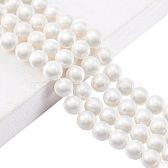 2 Strands Natural White Shell Beads Strands, Round, White, 10~10.5mm, Hole: 1mm, about 39pcs/strand, 15.75 inch(40cm)(SHEL-GA0001-19A)