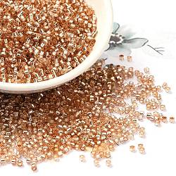 Glass Seed Beads, Silver Lined, Cylinder, Light Salmon, 2x1.5mm, Hole: 1.4mm, about 5599pcs/50g(X-SEED-S042-04B-17)