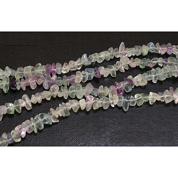 Gemstone Beads Strands, Natural Fluorite, Chips, Colorful, about 5~8mm long, hole: about 0.3mm, 32 inch