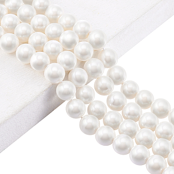2 Strands Natural White Shell Beads Strands, Round, White, 10~10.5mm, Hole: 1mm, about 39pcs/strand, 15.75 inch(40cm)