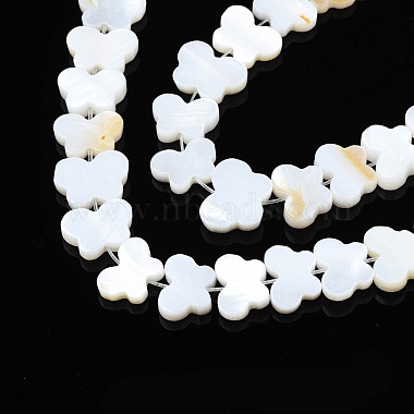 Freshwater Shell Beads Strands(SHEL-T009-A18)-2