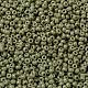 MIYUKI Round Rocailles Beads(X-SEED-G008-RR4474)-3