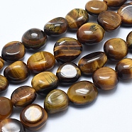 Natural Tiger Eyes Beads Strands, Tumbled Stone, Nuggets, 8~10mm, Hole: 0.8mm, about 30~50pcs/strand, 15.7 inch(40cm)(G-E483-52)
